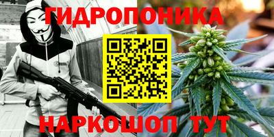 PSILOCYBIN Балахна
