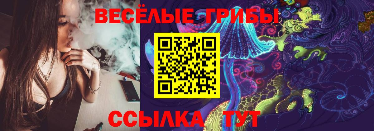 Псилоцибиновые грибы мицелий  Вход с VPN  Гусиноозёрск 