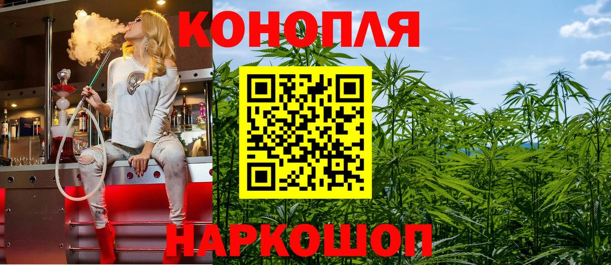 Каннабис индика Гусиноозёрск